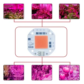 AC220V LED COB CHIP Fără sudură 20W 30W 50W 110V Spectru Complet de creștere a Plantelor rece alb cald alb cu diode emițătoare de lumină LED-uri de matrice